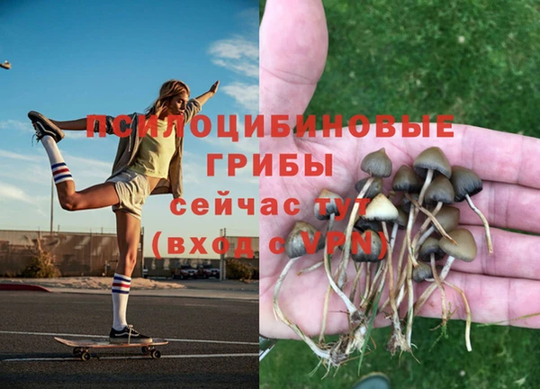 альфа пвп Беломорск