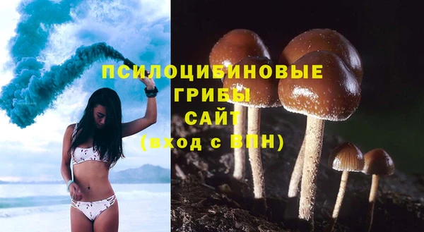 ГАЛЛЮЦИНОГЕННЫЕ ГРИБЫ Богородицк