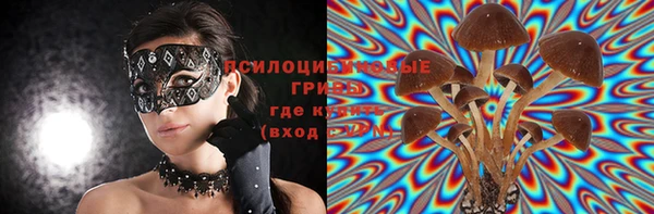скорость Богородск