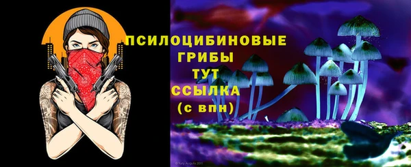 скорость Богородск