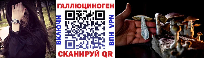 Псилоцибиновые грибы Cubensis  хочу наркоту  Белорецк 